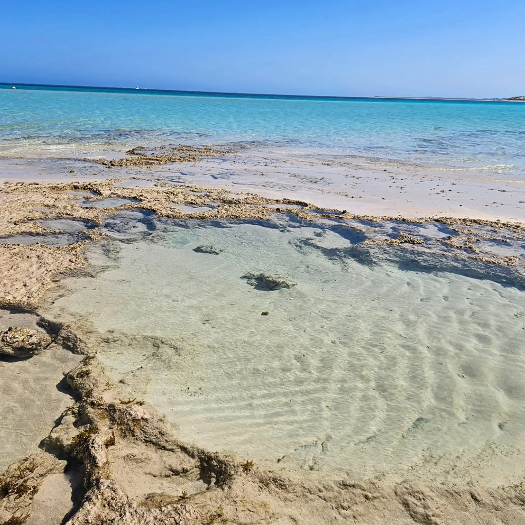 crystal-clear ningaloo coastal waters